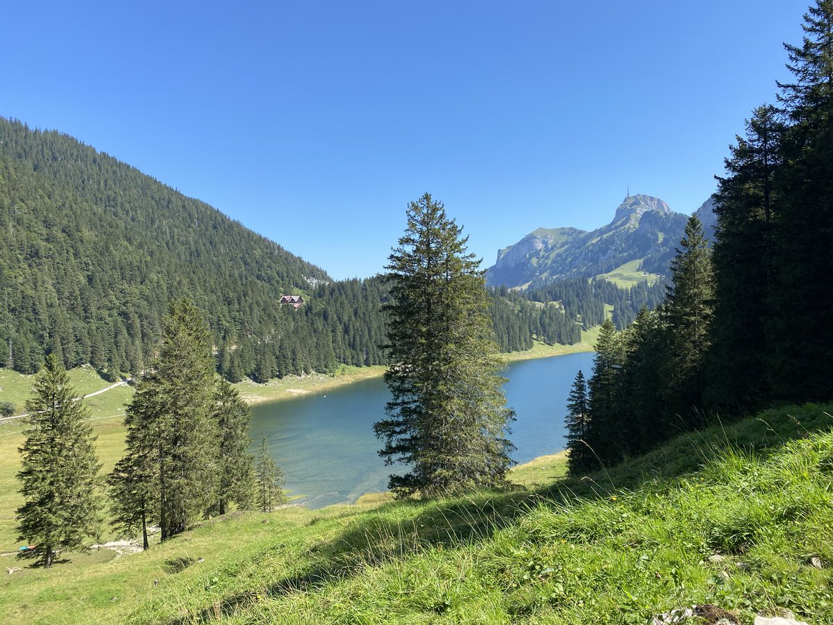 dr_annek's tweet photo. Best and worst COVID-19 weekend! Swam in this lake. Found out the hard way that swimmer’s itch exists 😅 #scratchscratch https://t.co/iaT3JvwZV4