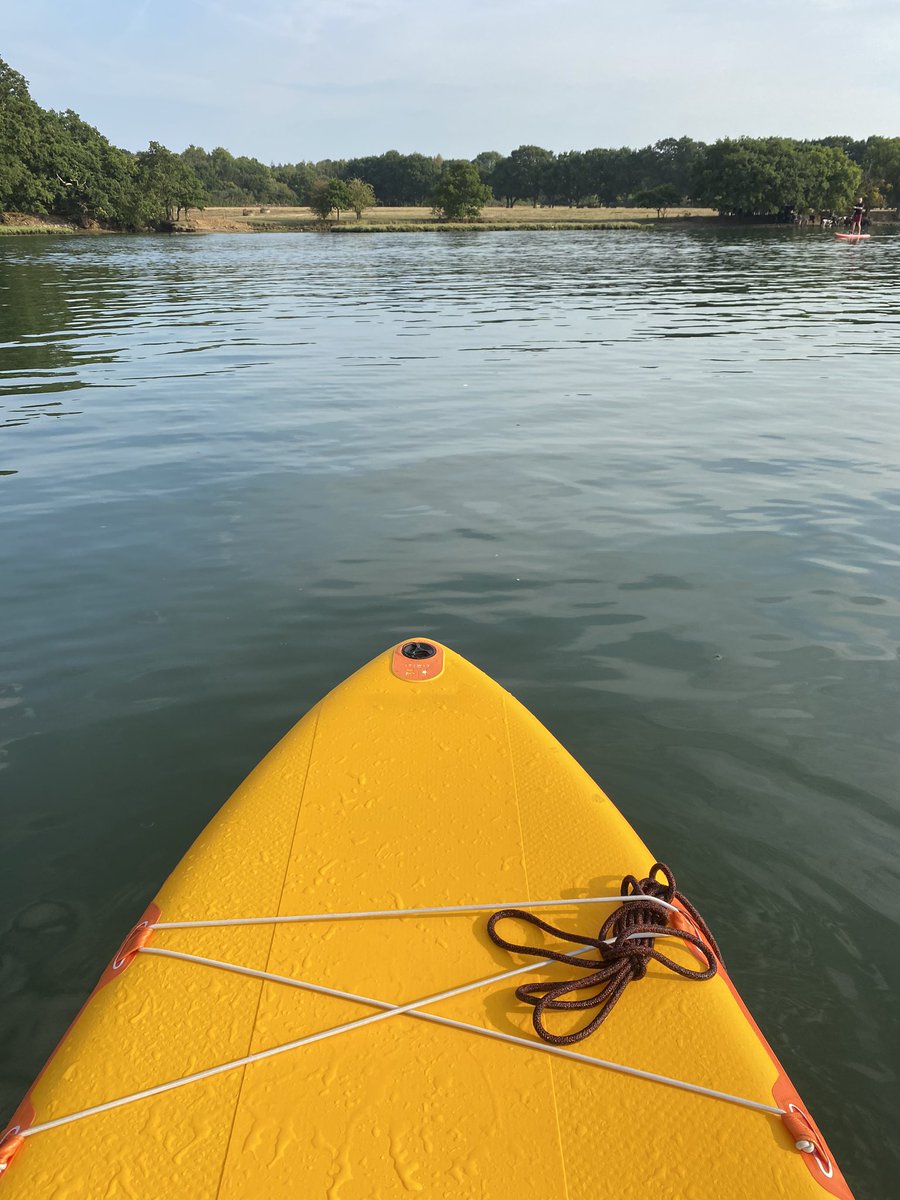 pageandy's tweet photo. #supboarding https://t.co/JGvyEiWtDj