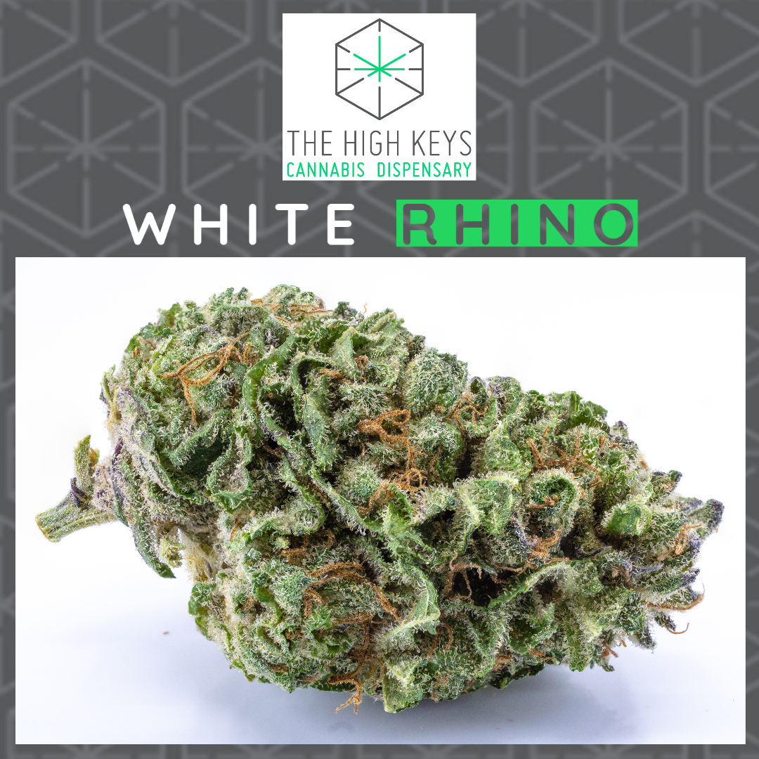 HighKey420's tweet image. This is a strain that you'll want to smoke on a wonderful Lazy Sunday, get couch locked, and munch out on a shit load of junk food to your favourite NetFlix show.⁠

⁠bit.ly/30CmmyF

#LazySunday #cannabis #canada #thc #indica #deals #420 #weed #toronto #vancouver