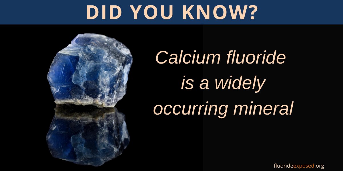 FluorideExposed's tweet photo. Calcium helps us have healthy bones.  Fluoride helps us have healthy teeth.  

But out in #nature, calcium fluoride is a colorful stone that occurs worldwide.  

This naturally-occurring mineral form of calcium fluoride is known as fluorite.

#geology #minterals #DYK https://t.co/M5ae4iRKoD