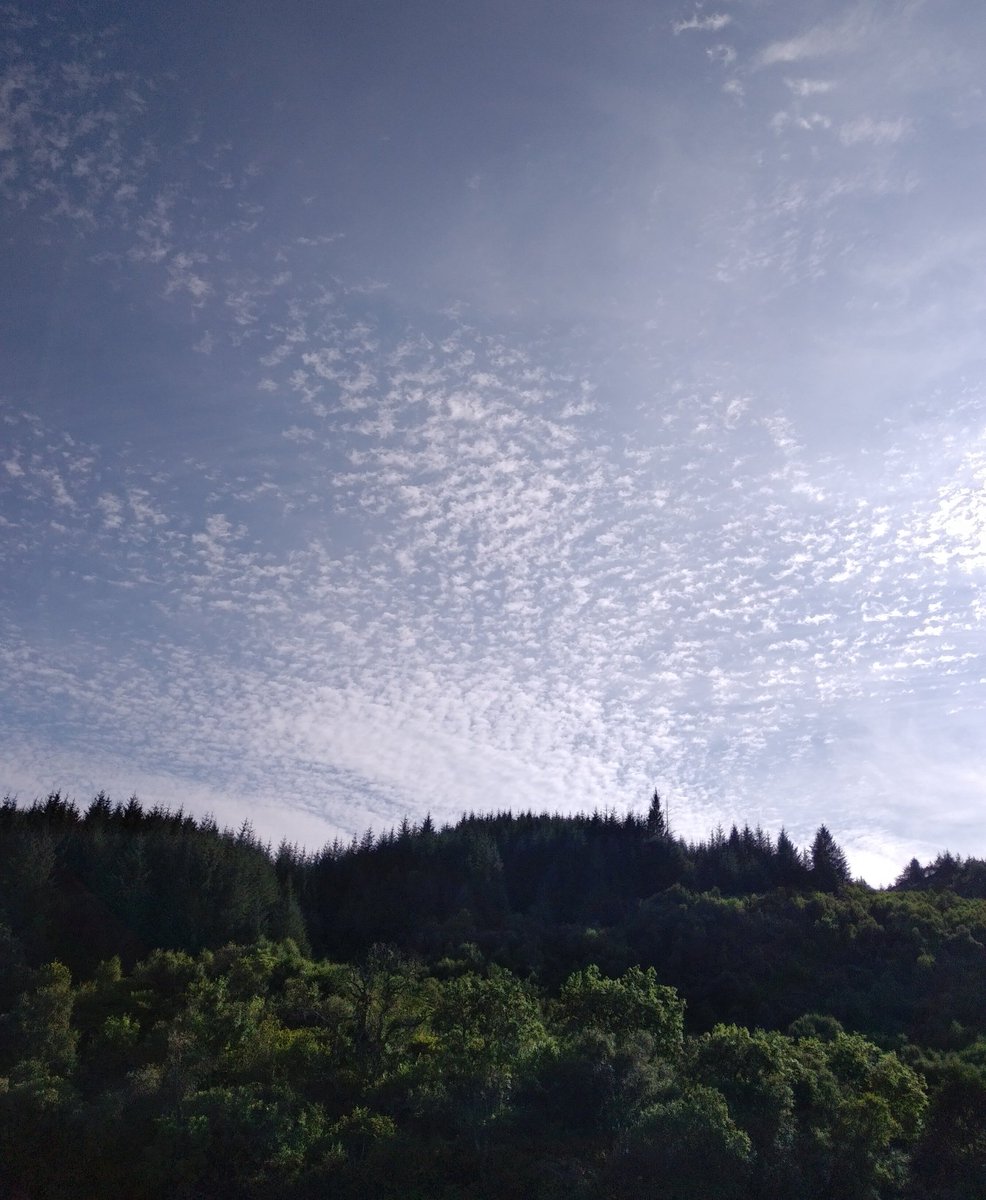 HeartofArgyll's tweet image. Loving today's skies!  💙
#bluesky #highclouds #Argyll #forest #knapdale #ardnoepoint