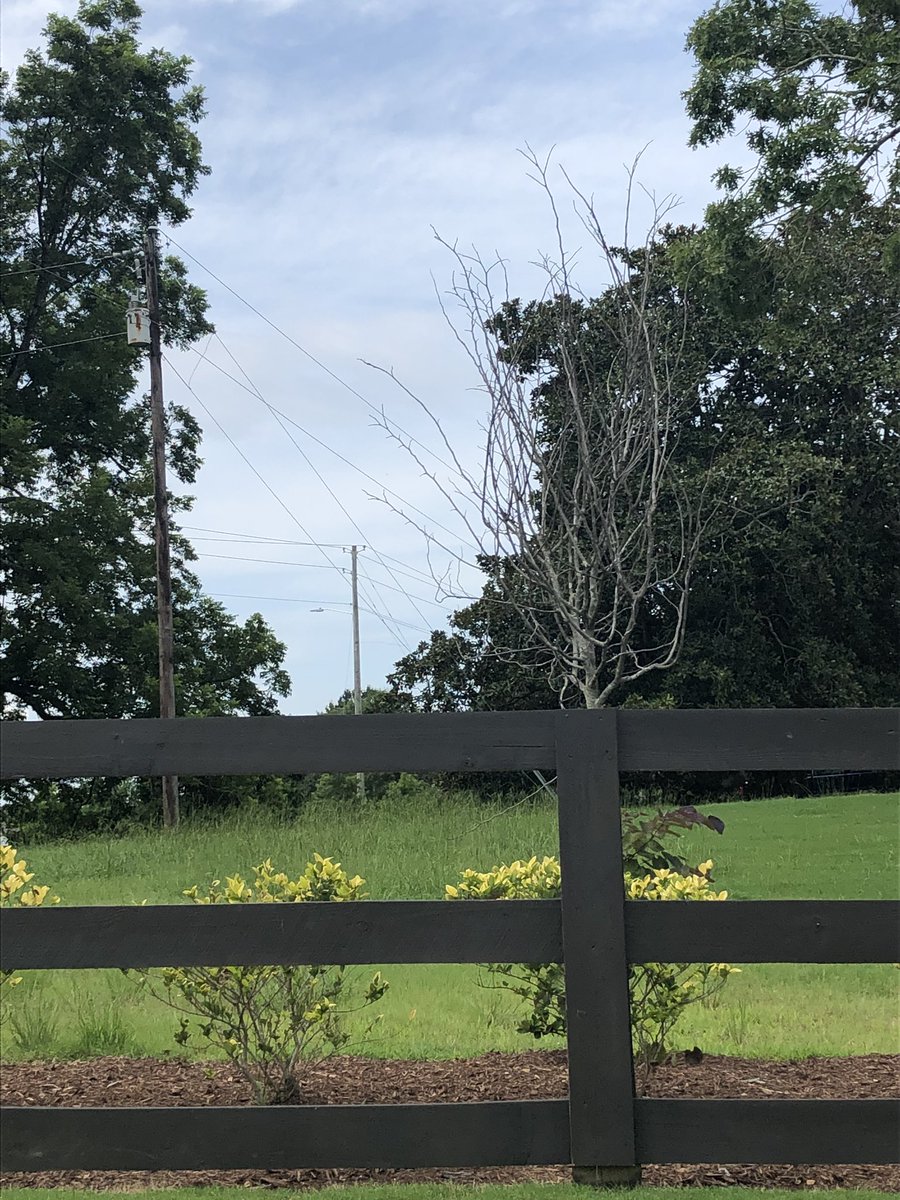 Smith Farm Community Apex by Lennar (smith_farm_apex) Twitter