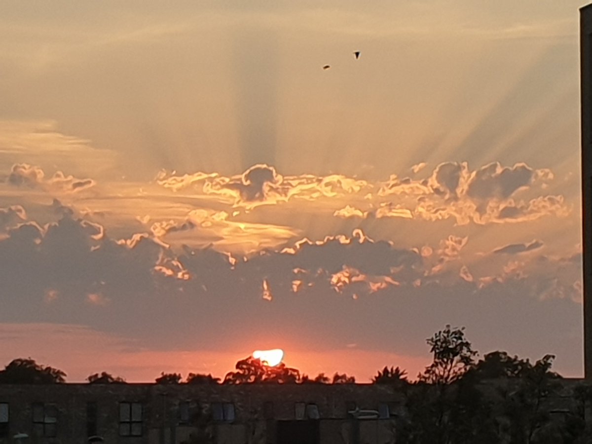 insight_co's tweet photo. #Cambridge is not only about innovation. Beautiful #sunset August 9th 2020. https://t.co/QUwYvLnaCm