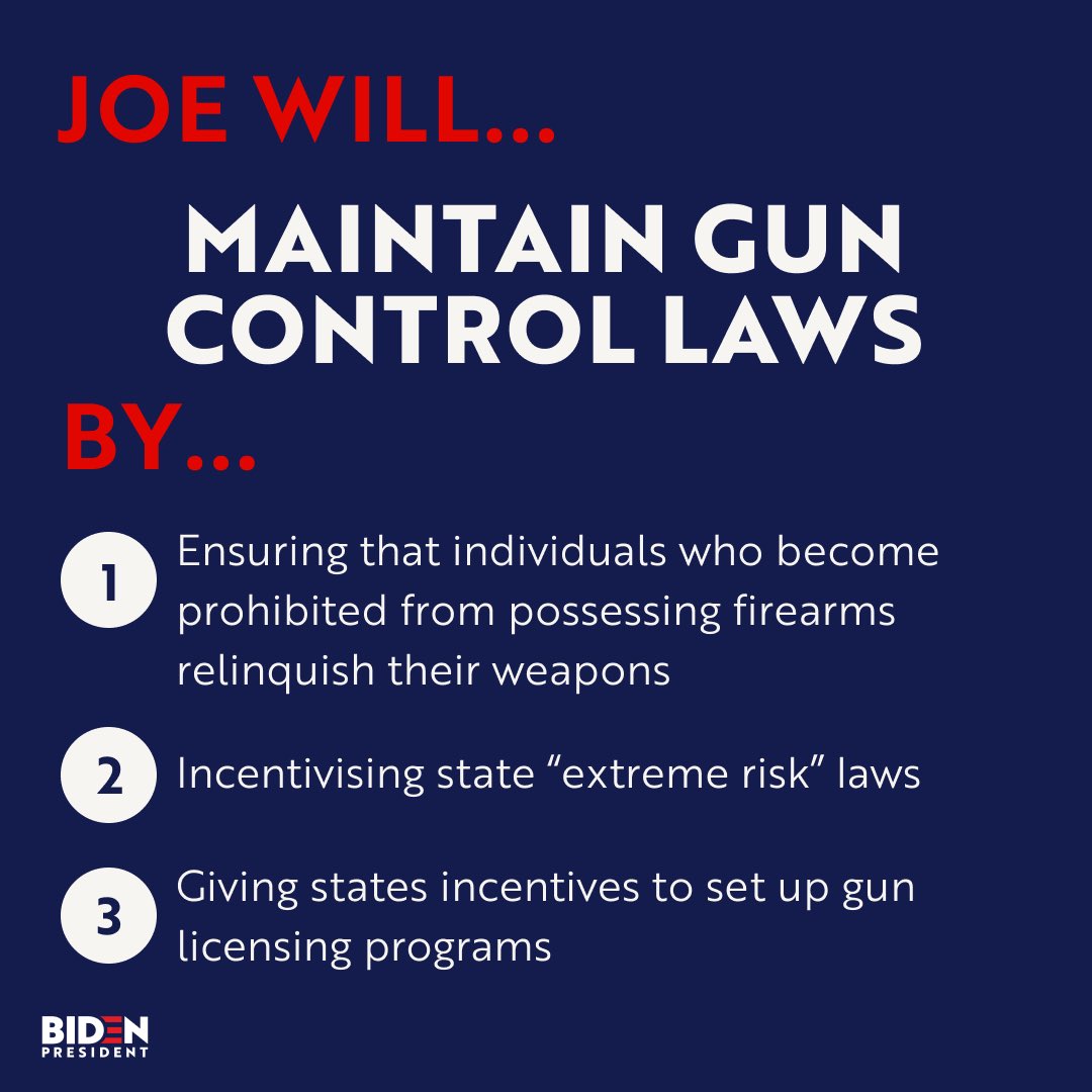 We need  @JoeBiden in the White House because we need  #CommonSenseGunReform.  #MomsAreEverywhere  #TeamJoe