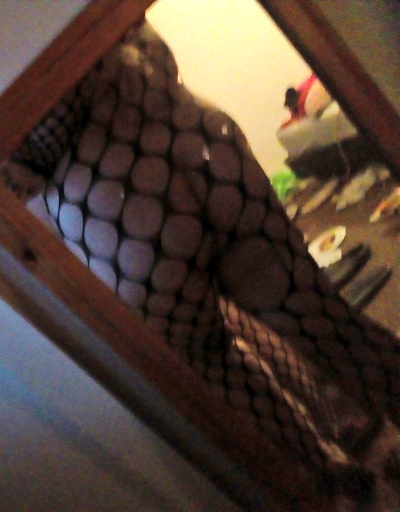 ChloWilliams10's tweet photo. Who wants to buy my dinner tonight ?
Dm me for my cashapp and get rewarded 
#ineedmoney #bbw #onlyfansgirl #sellingcontent #sellingnudes #kinks #fetishfriendly #paytoplay #fatass #bigtits 💚😍😘 https://t.co/FbK5bOD83k