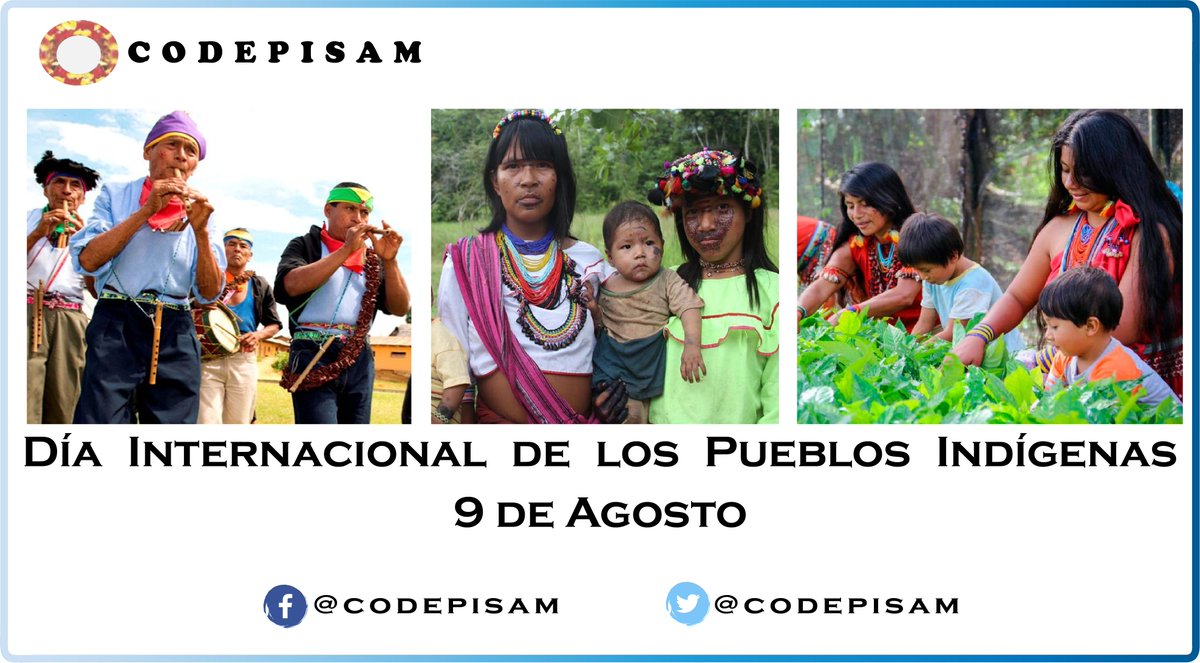 codepisam tweet picture