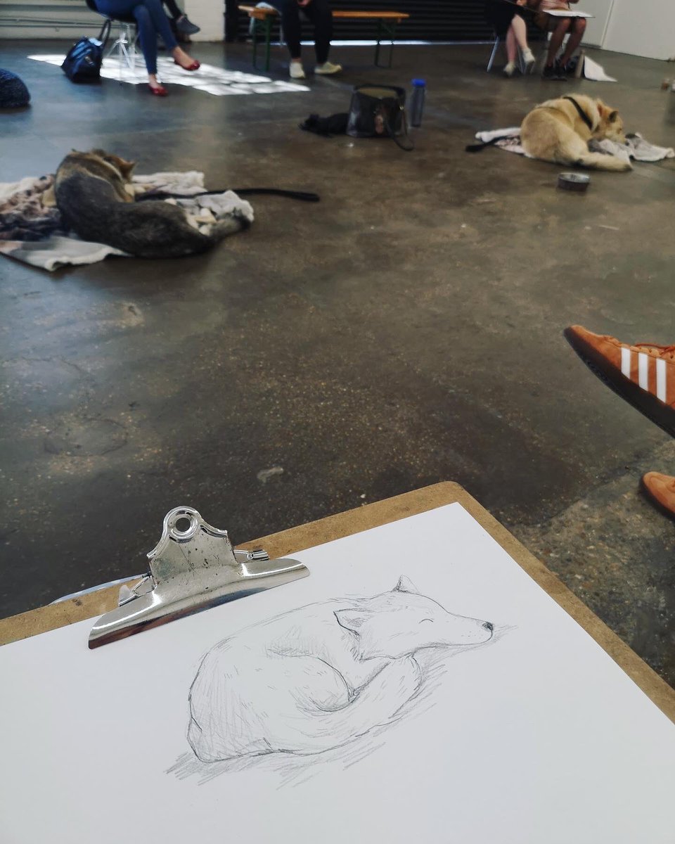 Siân Roberts tweet media