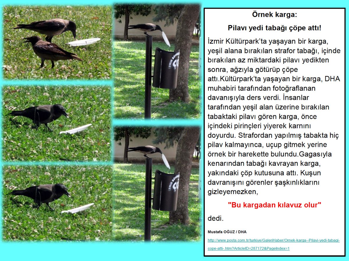 Pilavı yedi tabağı, çöp kutusuna attı!
Ya insanoğlu nereye atar.