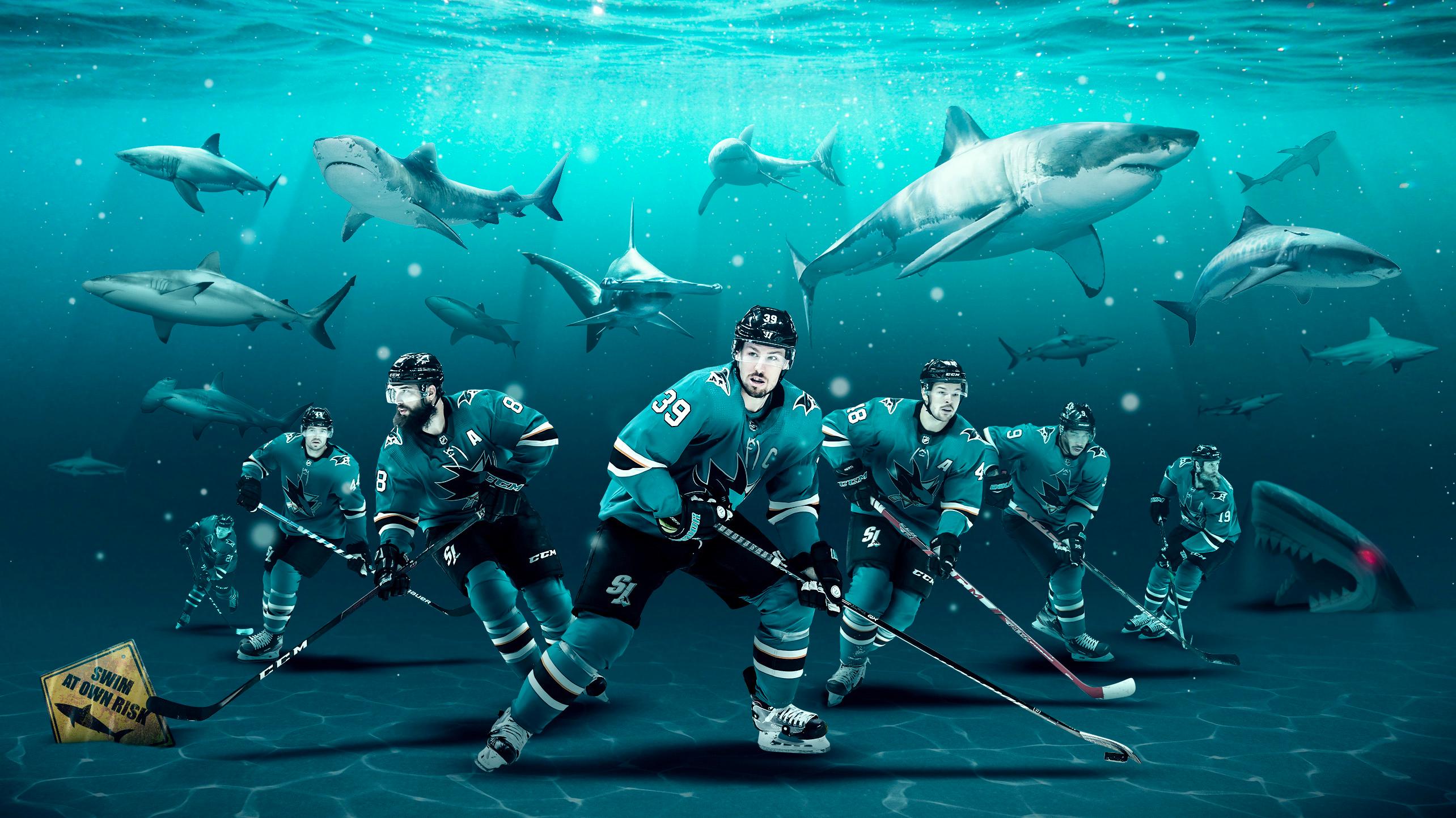 San Jose Sharks. 