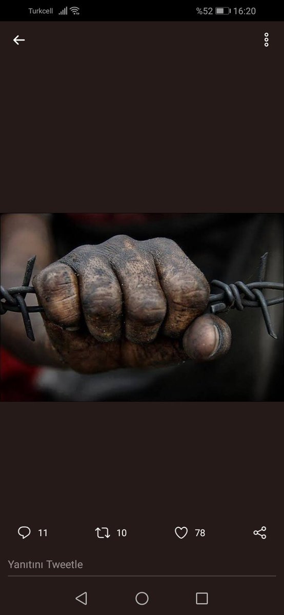 Kardeşim benim üzerime ağlarsan
Benim kabrimi o içten damlalarla ıslatırsan
Ufalanmış kemiklerden kendine meşale oluştur , Ve ışığıyla yaklaşan zafere doğru ilerle!

#islamdünyasındazulüm