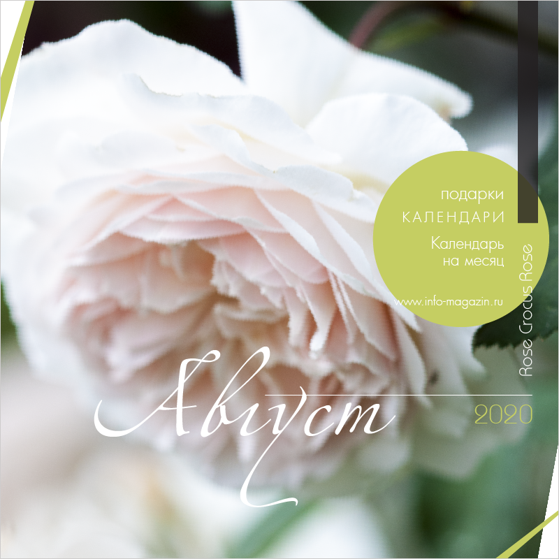 Все еще август 😊 info-magazin.ru/catalog/33/L11…
