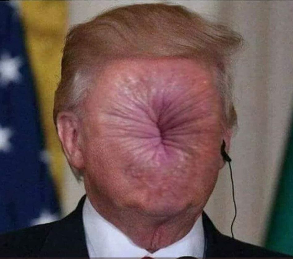 dt_always_wrong's tweet photo. @lauferlaw @jerseymouse @MollyJongFast Carve this in #mountflushmore
#fucktrump #fuckthegop #realDonaldTrump #coviddonald #TrumpVirus https://t.co/sFu3cNWhqO