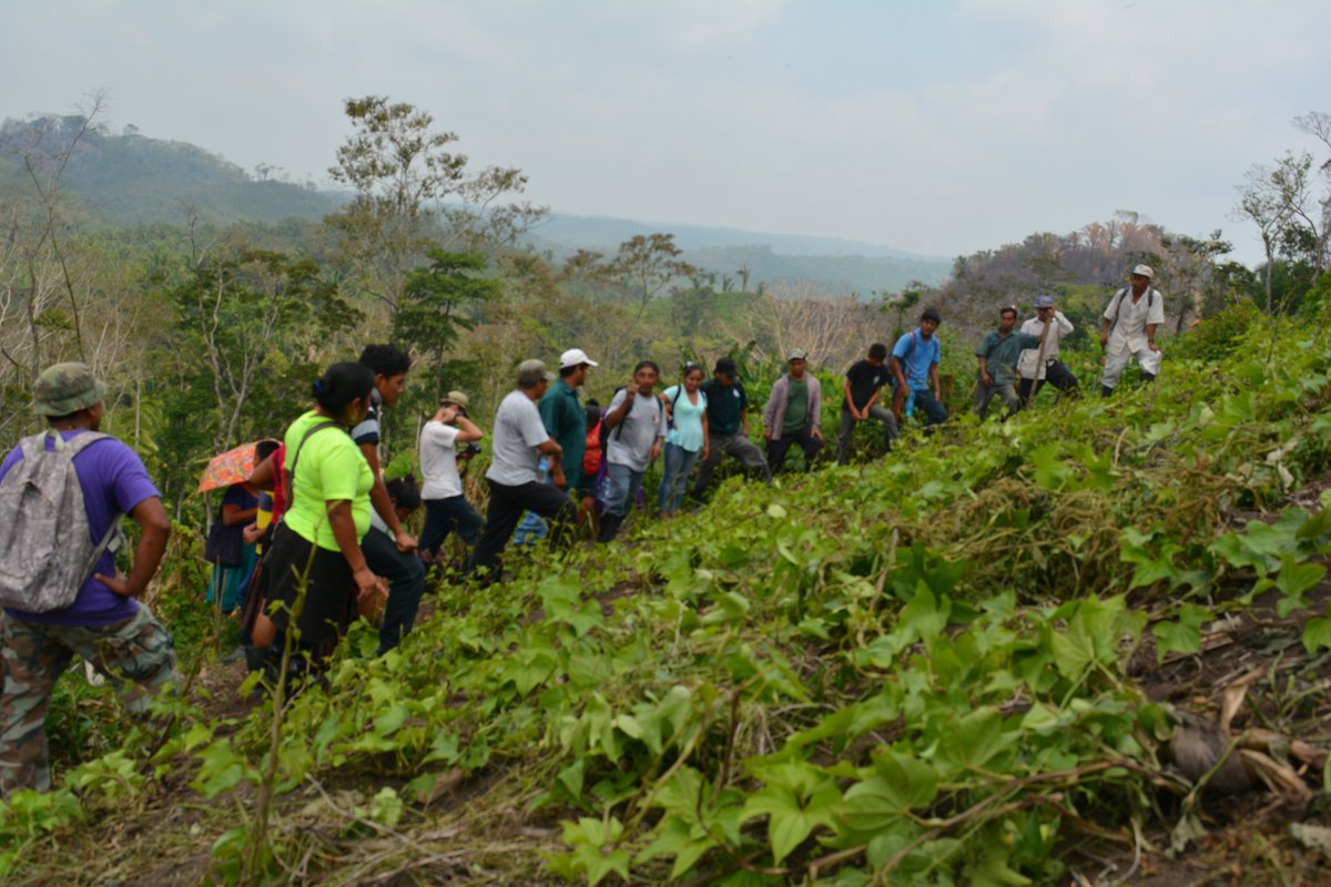 UNDPplanet's tweet photo. Mapping matters. Land demarcation is an important asset in ensuring #indigenous peoplesโ territories & areas are acknowledged. In Belize, mapping is also key in conserving biodiversity & improving livelihoods: https://t.co/v3O9OtzRWJ
#Indigenousday #WeAreIndigenous @GEF_SGP https://t.co/qtdd0tiK6n