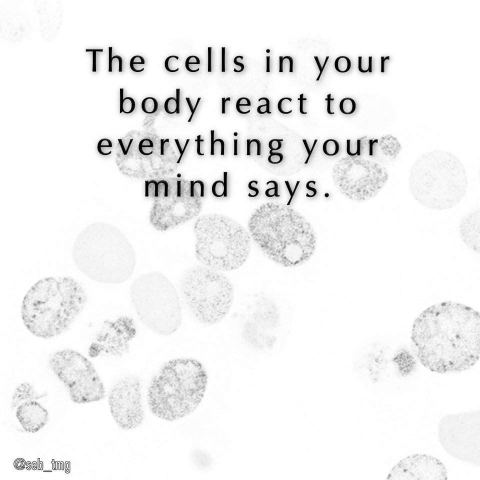 seb_tmg's tweet photo. The cells in your body react to everything your mind says. Negativity brings down your immune system.
#deepthoughts #mindest #thoughtoftheday #thoughtsforthenight #instathoughts #thought #meditationpractice #mindfulness #cells #meditation #happymind #lifethoughts #cosmicnation https://t.co/2XBSVBPlM6