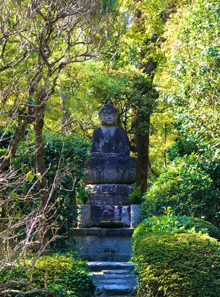 Day 125: a little bit hidden away  #Kyoto  #Japan – bei  龍安寺 Ryoan-ji Temple