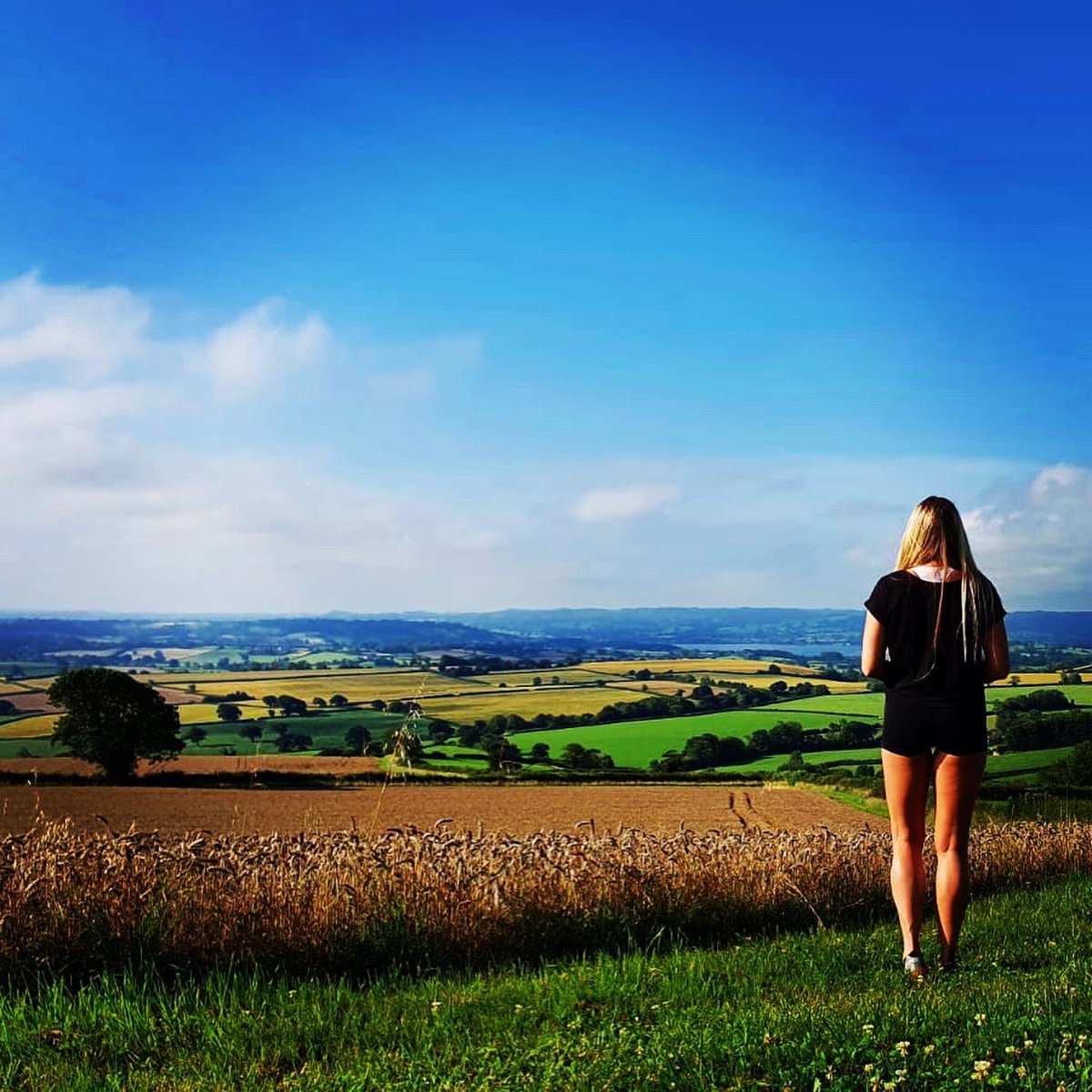 SarahAvraamides's tweet photo. #weekendwalks #alltheviews and one very hot dog 🐶☀️ https://t.co/7njwVC6JcF