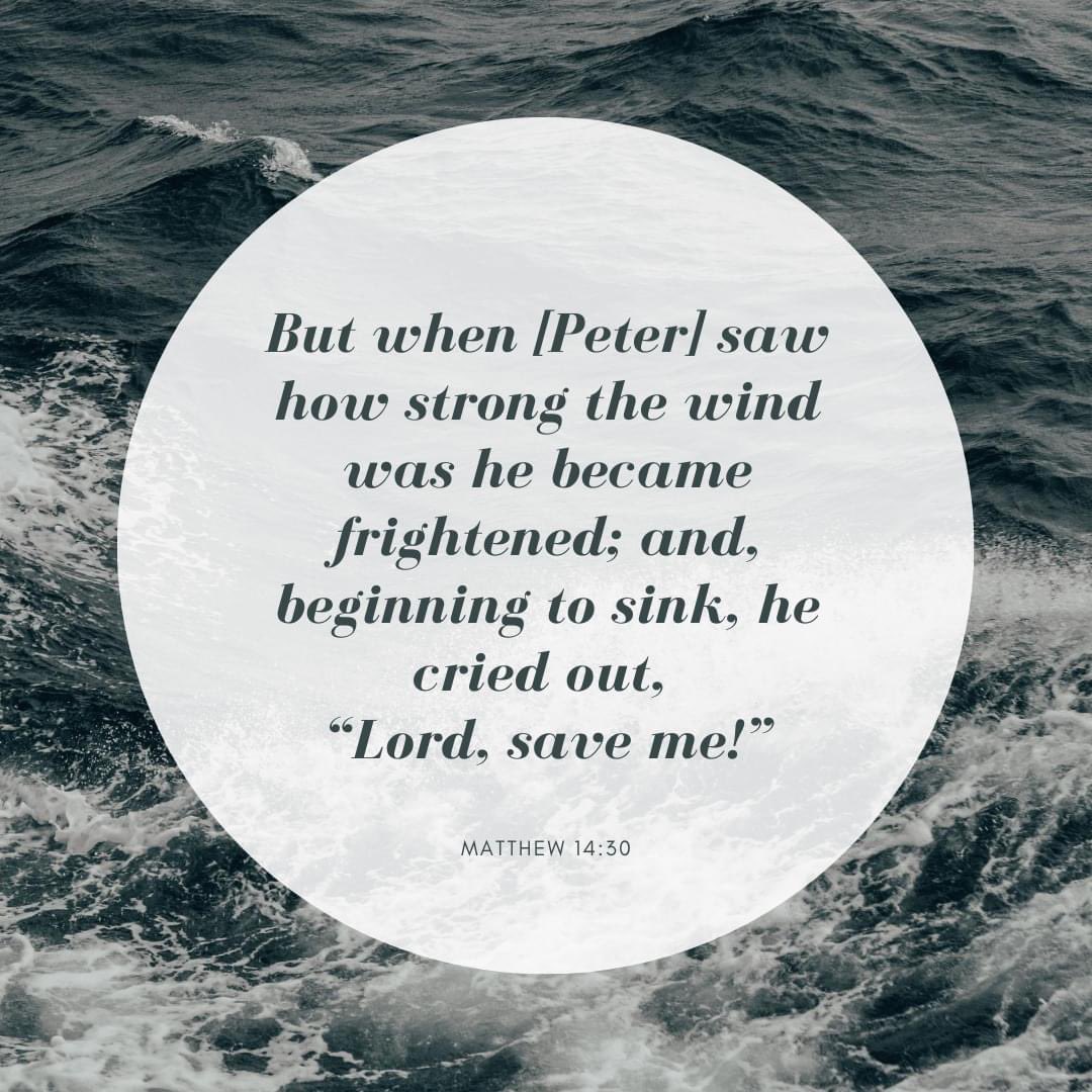 Seton Home tweet media