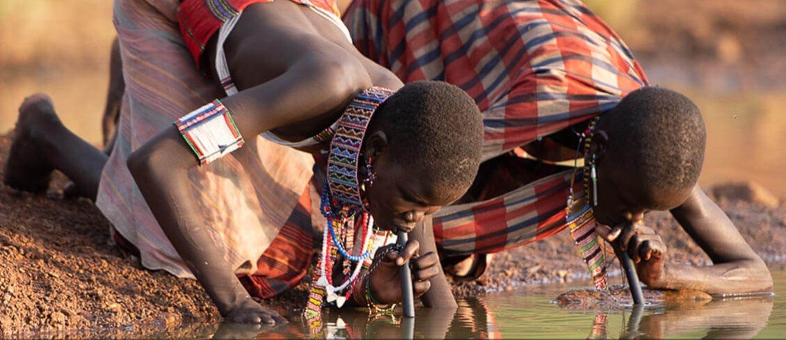 anthonywsolomon's tweet photo. The final phase of 🪱Guinea worm eradication is proving more difficult than was hoped. A new LAMP-based🧪assay to detect Dracunculus medinensis🧬 in copepods could allow pond-side diagnosis of infected🥤water sources  - &amp; therefore targeting of temephos: https://t.co/ZHjgyanbNg https://t.co/ww2f8PY3CJ