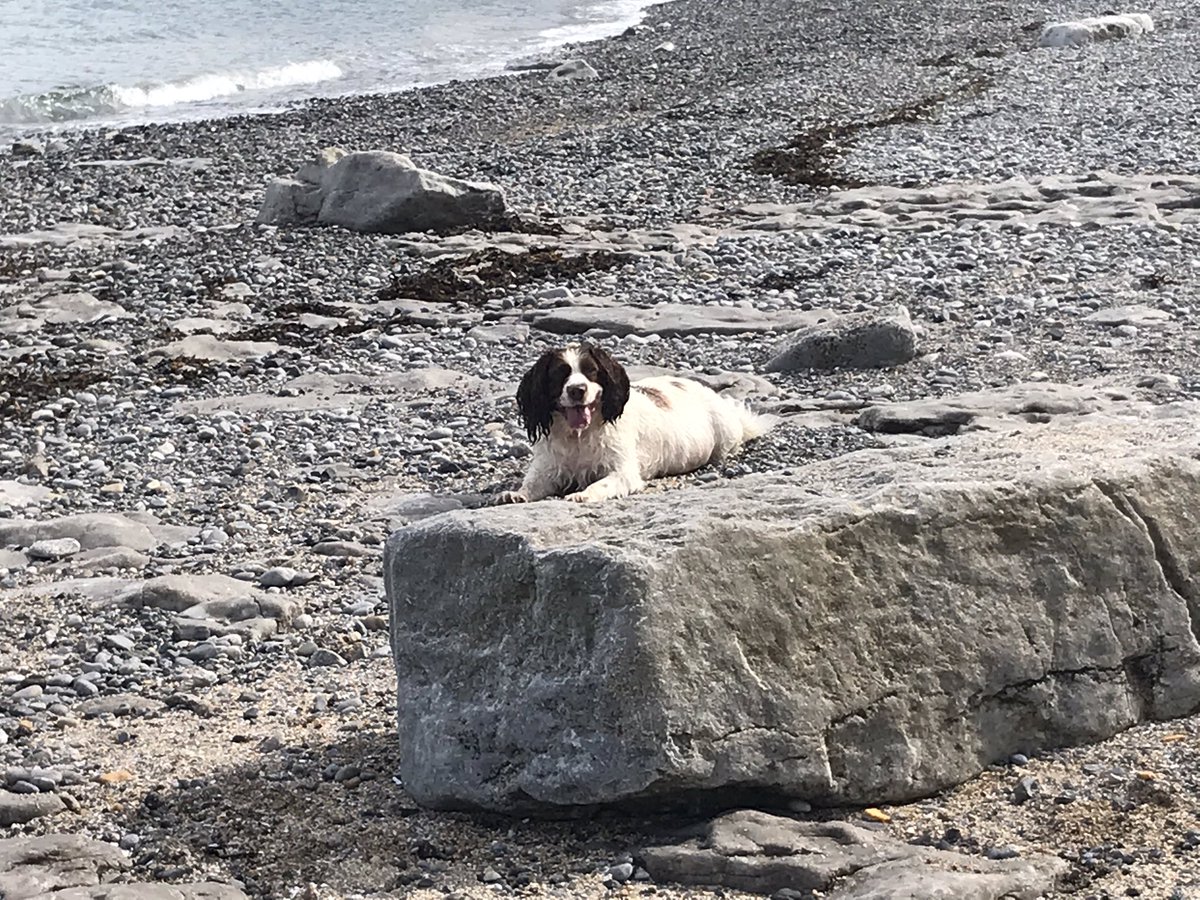 FizzMurphy's tweet photo. Betsan enjoying Moelfre yesterday ... why am I not in this photo? #anglesey https://t.co/i37C8QePmB