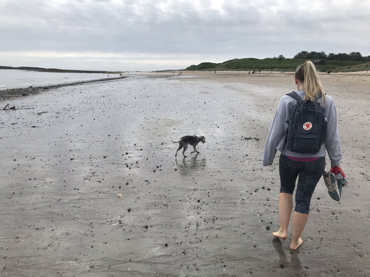 More paddle boarding today, this time with a pup (who only fell in once) plus beach walks with @theprehabphysio #AHPsActiveUHA #AHPsactive