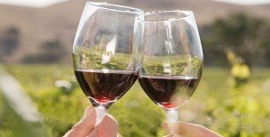 Here are some rich reds we paired recently with BBQ! writeforwine.com/bbq-reds-2020/ 
<a href="/vapianoestate/">Justin Wylie</a> <a href="/KevinWhiteWine/">Kevin White Winery</a> <a href="/RockyPondWinery/">Rocky Pond Winery</a> <a href="/Saviah/">Saviah Cellars</a> <a href="/TwoVintners/">Two Vintners Winery</a> <a href="/reynvaanwine/">Matt Reynvaan</a> <a href="/BarrageCellars/">Kevin Correll</a> <a href="/DeLILLECELLARS/">DeLille Cellars</a> <a href="/allorovineyard/">Alloro Vineyard</a> <a href="/lennewine/">Steve Lutz</a> <a href="/UtopiaVineyard/">Utopia Vineyard</a> <a href="/lulacellars/">Lula Cellars</a> <a href="/vino_sphere/">Vino-Sphere</a>  <a href="/VinoSocialNancy/">VinoSocial.wine</a>