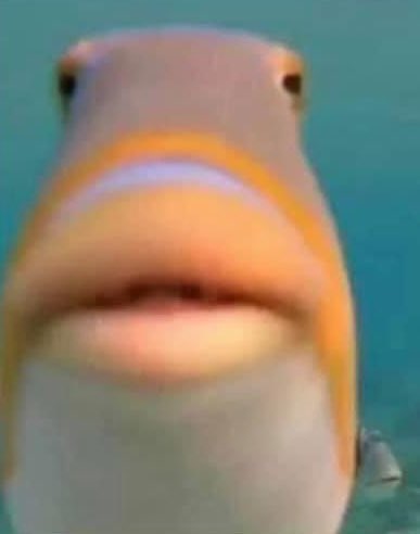 flvnder's tweet image. “why arent u showing ur face when we ft”

my face on ft: