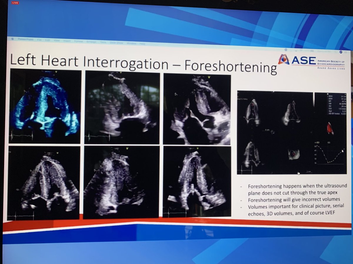 Vera Rigolin tweet media