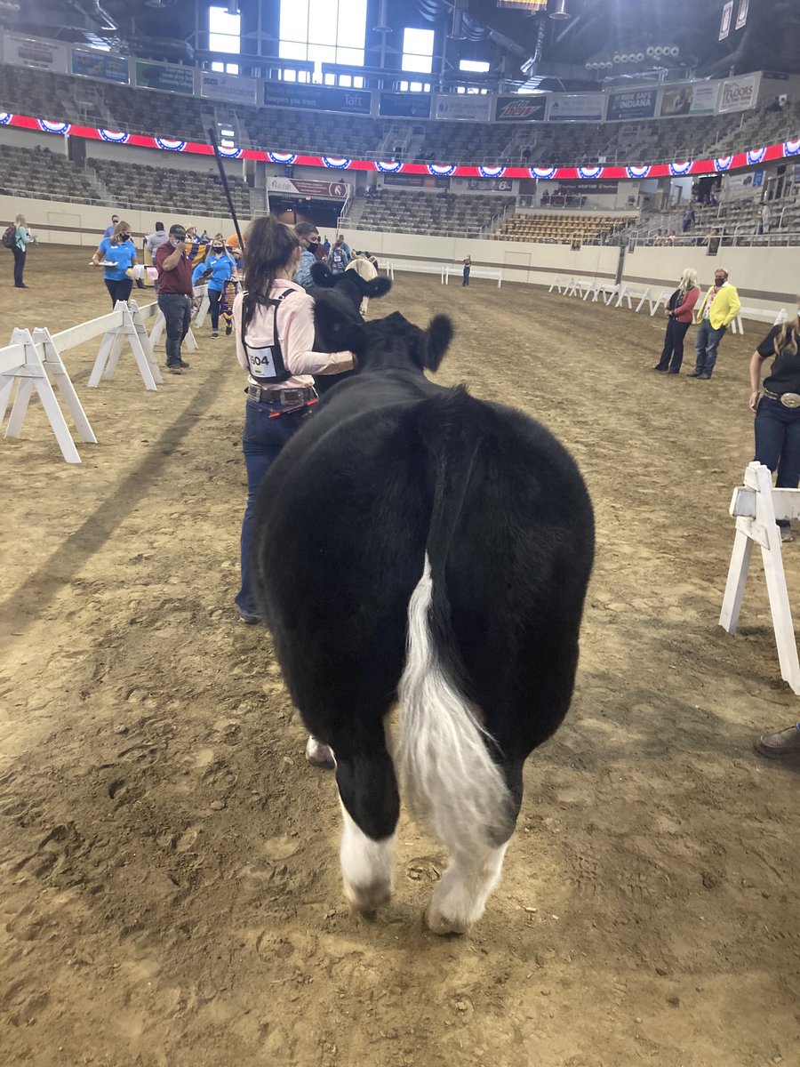 ⁦<a href="/maggiejohnzon/">Maggie Johnson</a>⁩ going into the ring at Indy for the last time today. Been a fun ride. #prouddad