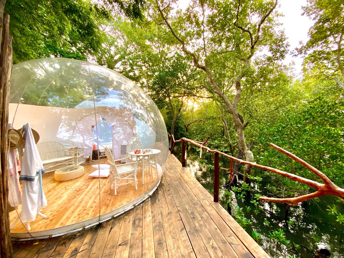 metumilibrary's tweet photo. The Rock and Sea Resort in Watamu. Their Bubble Eco lodge concept affords you unobstructed views of the star-lit African skies. ✨✨

https://t.co/Bid1XRdLki https://t.co/tdbstgmGY8