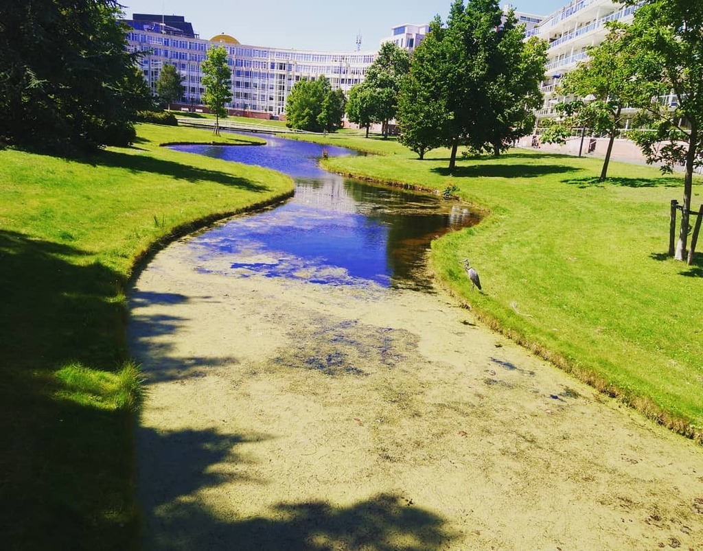 arclitesmith's tweet photo. Den Haag ๐#weekendvibes #eurotrip2020 #trip #traveling #hague #haga #summerexploring #sunnyday #freetime #moreandmore #worldtraveler #goodvibes #goodday #awalk https://t.co/V4aTBe35u6