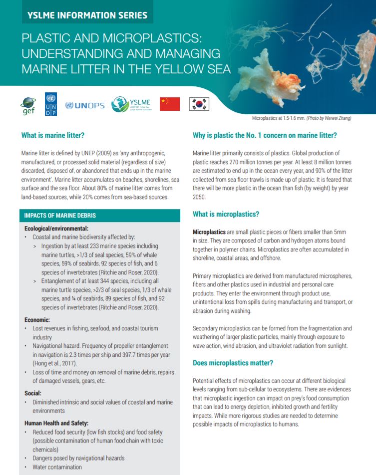 YSLME Information Series No.1 Now Published!
PLASTIC AND MICROPLASTICS: UNDERSTANDING AND MANAGING MARINE LITTER IN THE YELLOW SEA
(Link: yslmep.org/wp-content/upl…)
