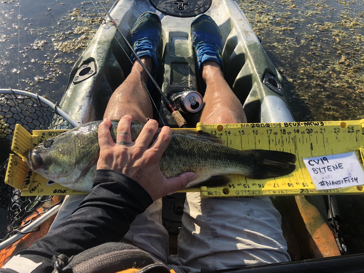 FishNauti's tweet photo. #Kayak #bassfishing  #Virginia waters by #NautiFish landed 18.75, 19.75 and many dinks off #Newportnews 

All caught with new Nauti craw!

https://t.co/UprUU5DM0Z https://t.co/OtB3NADqWp