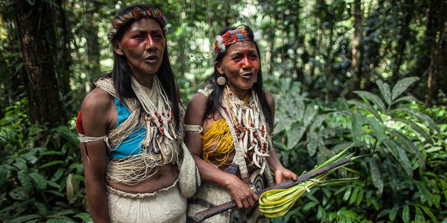 4SDfoundation's tweet photo. #DYK that globally, 47% of all #IndigenousPeoples in employment have no education, compared to 17% of their non-indigenous counterparts? This gap is even wider for women. Find out more on today's #IndigenousPeoplesDay: https://t.co/uASwPnokSZ #IndigenousDay #SDGs Photo @BellaLack https://t.co/PHAOe7YkCR