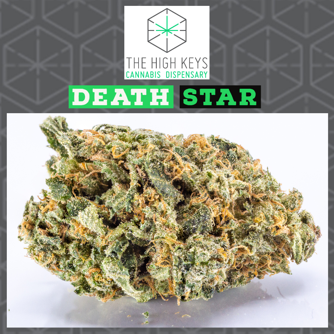 HighKey420's tweet image. Looking for something that will knock you out on those sleepless nights?

Burns white, reeking of pungently sweet, herbal, lemony spicy aromas, amazing tasting.

bit.ly/33JQ71Y

 #happy #style #toronto #vancouver #thc #highlife #love #smile #amazing #thehighkeys #deals