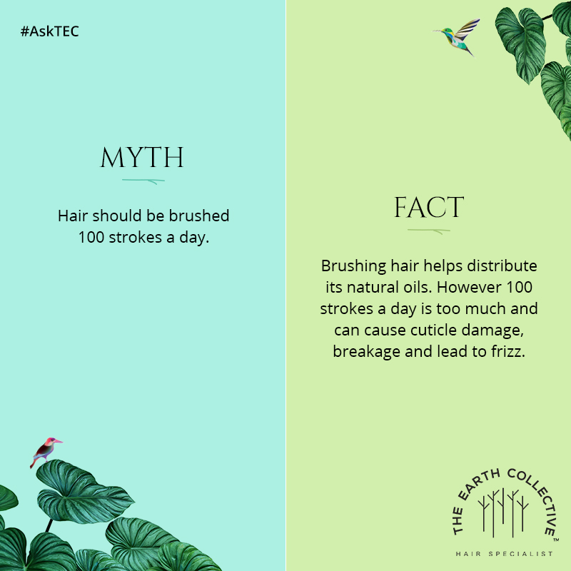 TheEC_Official's tweet photo. #AskTEC aims to bust myths related to hair care and make life easier for you. If you have questions or hair-related concerns, just comment below with #AskTEC and let us help you out.
#TheEarthCollective #HairNourishment #HairCareProducts #HairProducts #HairCare #NaturalTreatment https://t.co/1IQ3f7VTDc