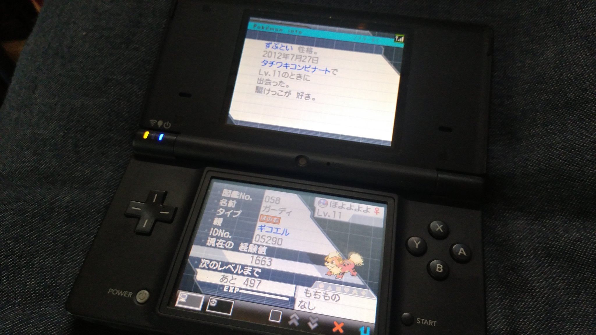 ぎこ 部屋掃除してたらポケモンブラック2見つけた ポケモンがガーディ1匹しかいなかった だれか1匹は 残らなければ ならない T Co U7il8l2gas Twitter