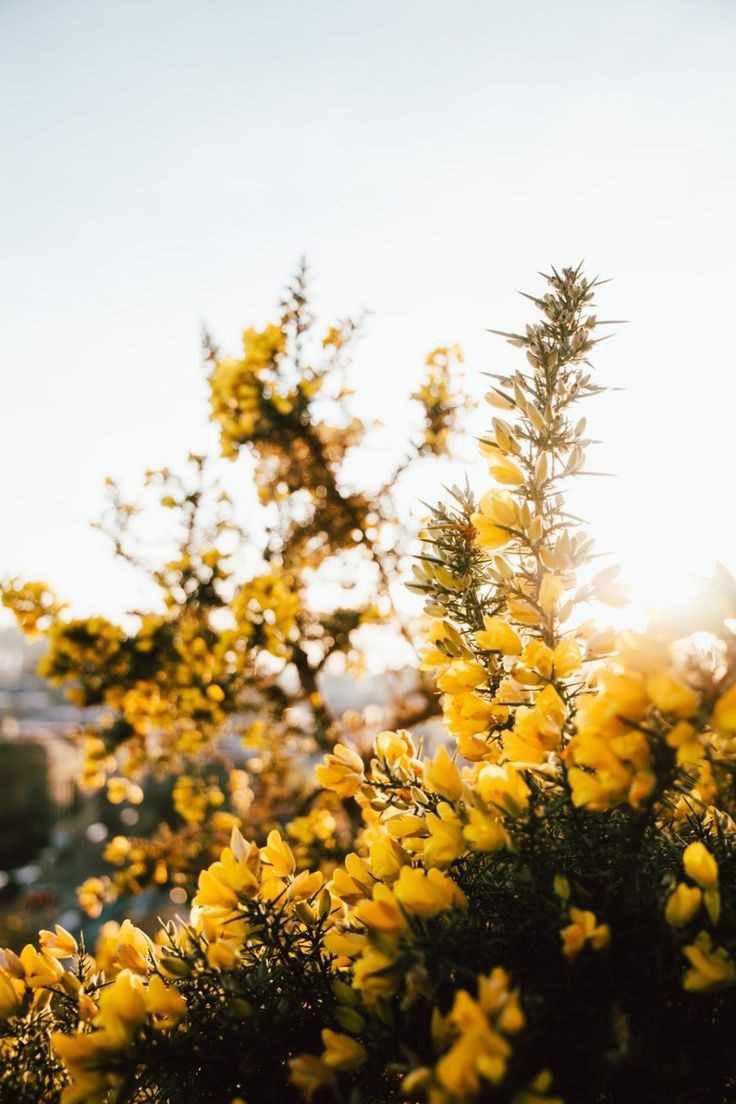 <a href="/yhosien/">هُدى المتـقين</a>
صَبَاحِ الْخَيْرِ
اللَّهُمَّ نُورًا
يُضِيءُ آنَاءِ
الأَوردَة وَأَطرَافَ الفُؤَاد!

صَبَاحُكمُ  يَقينٌ بأنَّ اللّٰـه سَيُعوِضكُم خَيرًا
ويُجبرُ مُضغَتكُم أَيَّمَا جَبرٍ !💭🌸