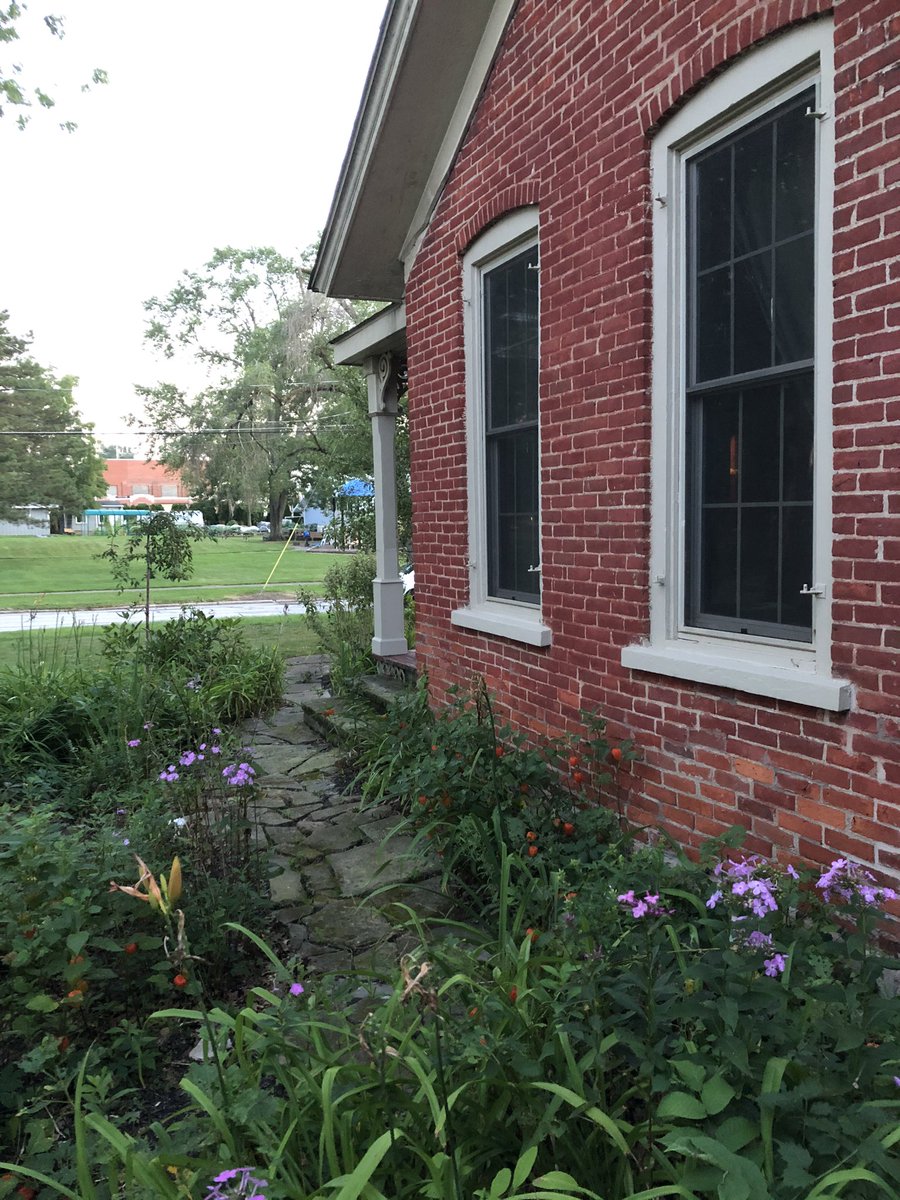 Michelle Belanger on Twitter: "Inspiration House: echinacea, black Michelle Belanger on Twitter: "Inspiration House: echinacea, black