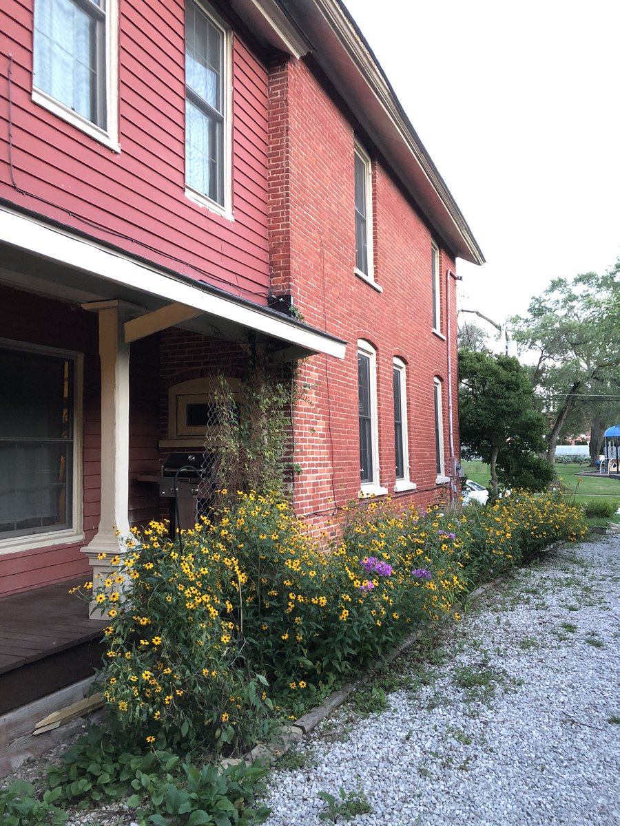 Michelle Belanger on Twitter: "Inspiration House: echinacea, black Michelle Belanger on Twitter: "Inspiration House: echinacea, black