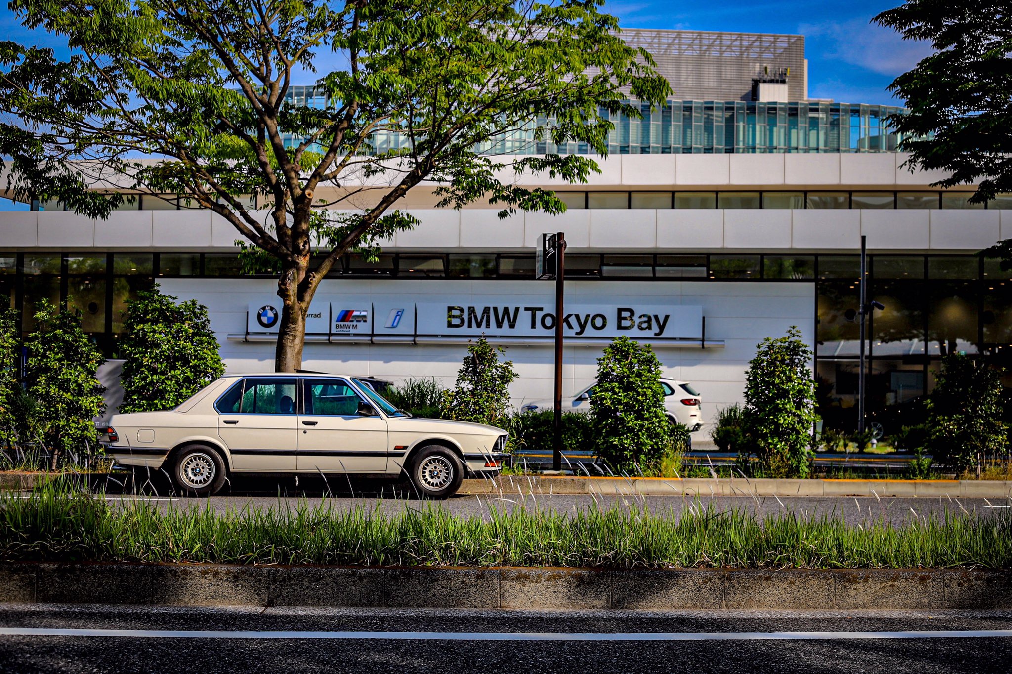 19bmw5i 数十 駒を進めるとそこはbmw Tokyo Bay そういえば村内外車センターに展示中の635も見に行きたいですがこの暑さの中移動するのも大変なので今回はパスで T Co Gpqddmgjii Twitter