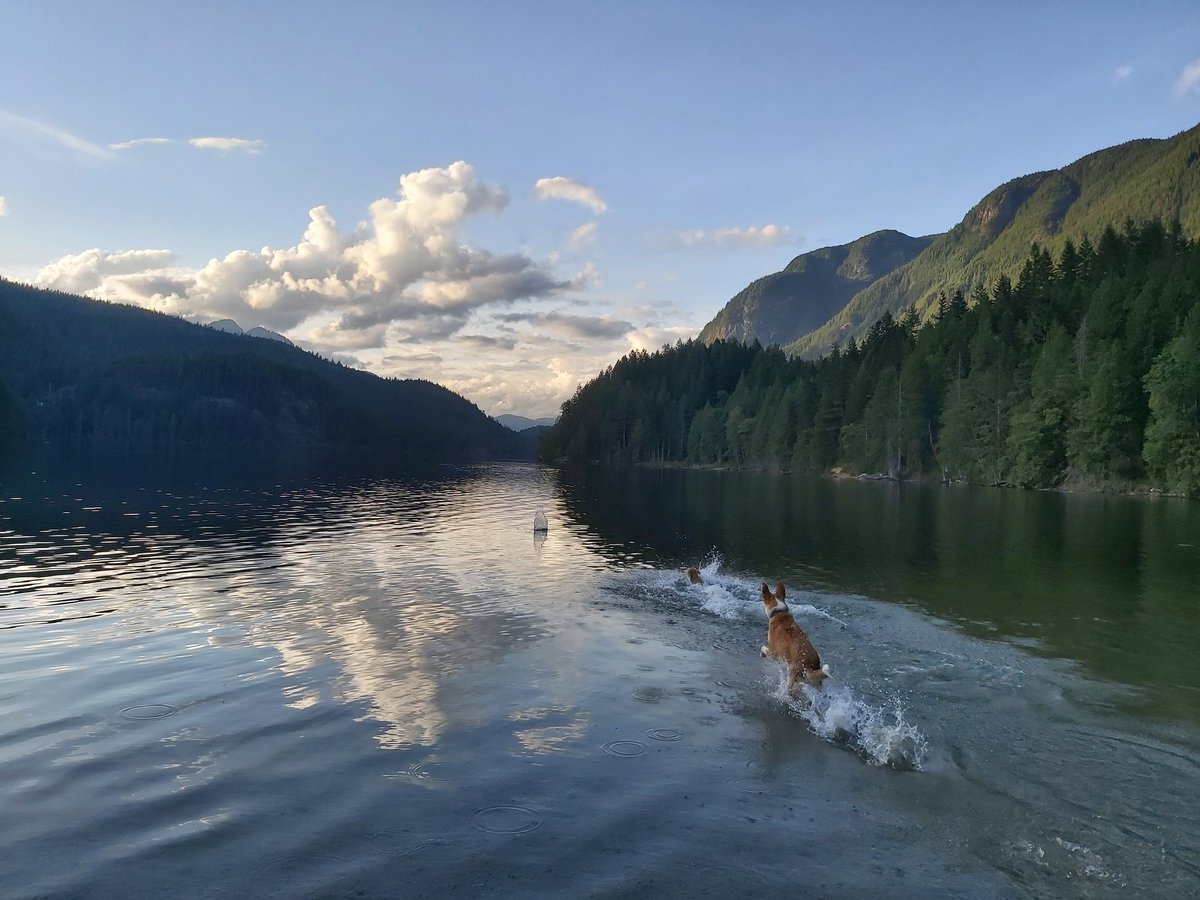 ScienceAtWork's tweet image. #MyBCStaycation