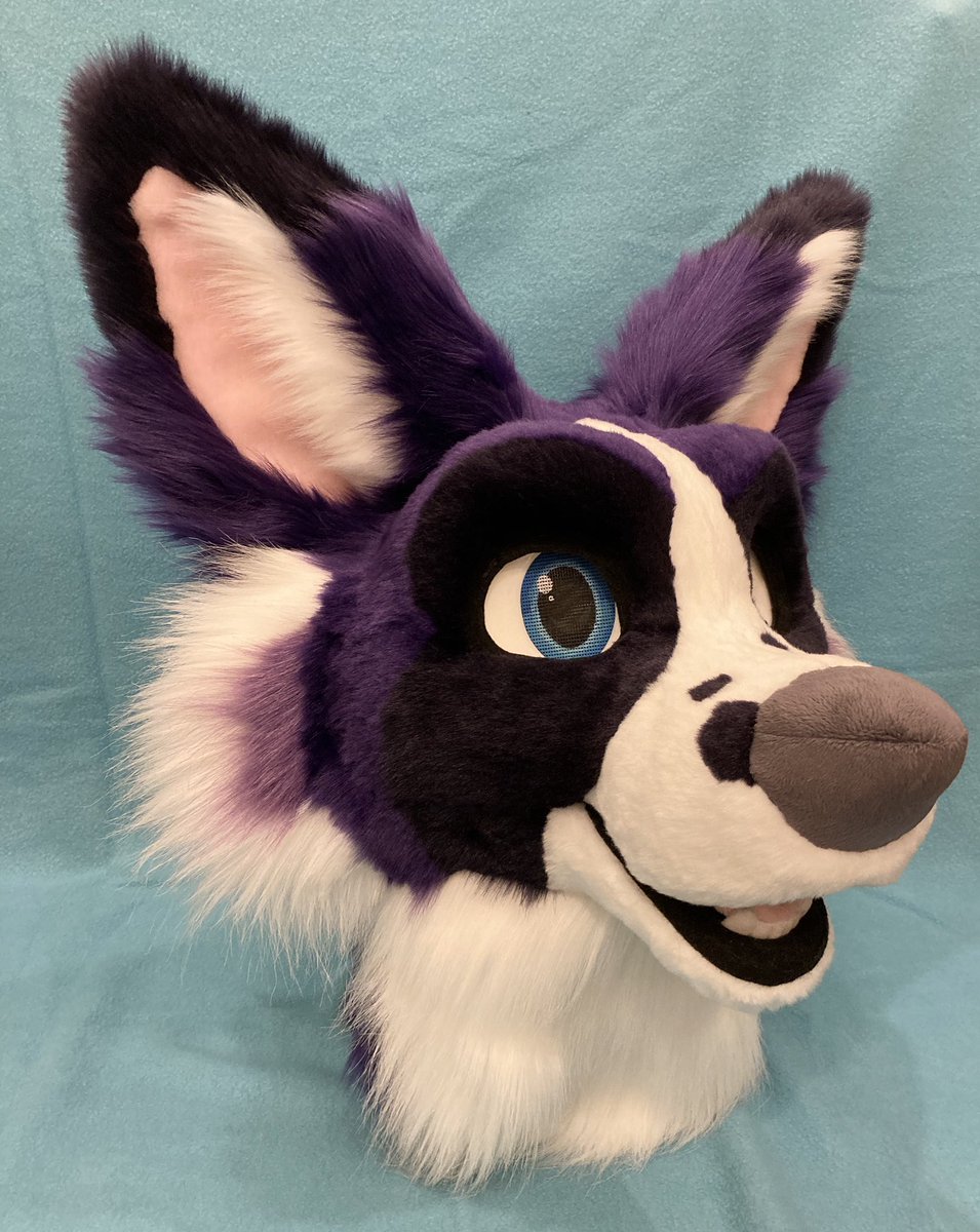 Pawswolfdog's tweet photo. Purple fluff for sale! Info in photos. 💜It’s hard to give him up! $2400 plus shipping (US only!) DM if interested! #fursuitforsale #fursuitmaker #fursuitpartial https://t.co/foqMZQCI0B
