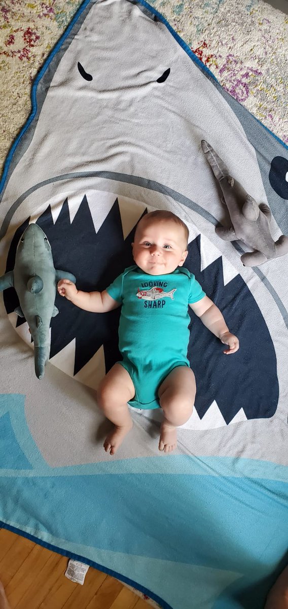 We are ready for #SharkWeek  🦈🦈🦈🦈🦈🦈🦈🦈🦈🦈🦈🦈🦈🦈🦈🦈🦈🦈🦈