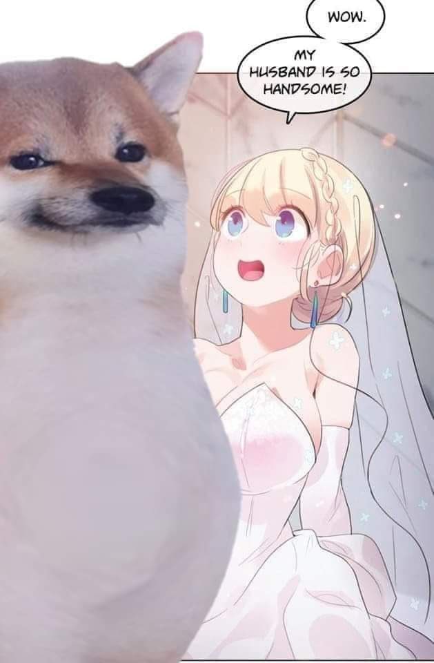 Hytoko tweet media
