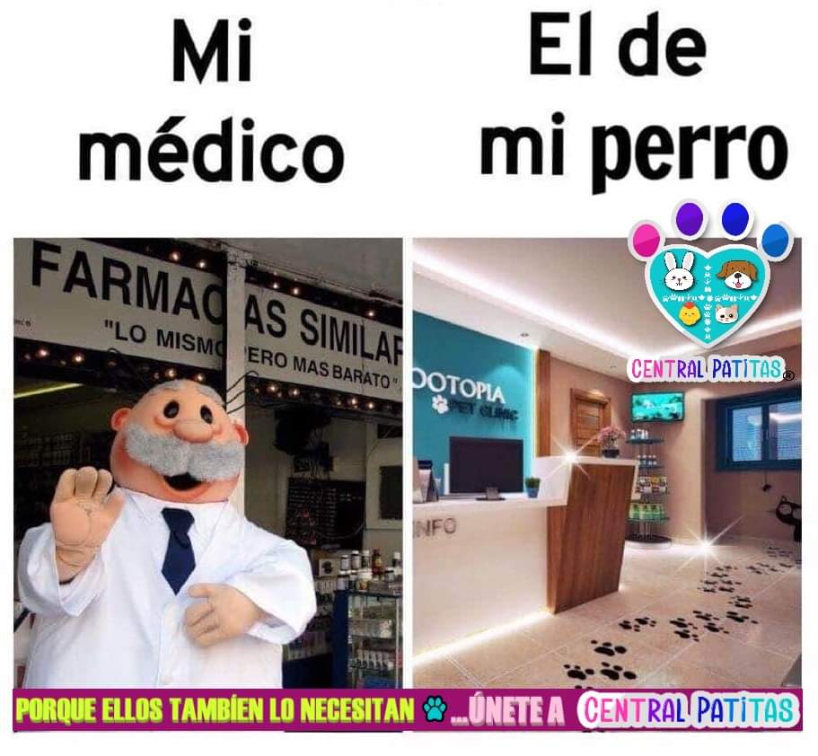 Cualquier parecido con la realidad es mera coincidencia... 😅
#CentralPatitas #Ayudanosaayudar
🐶💜🐶💜🐶💜