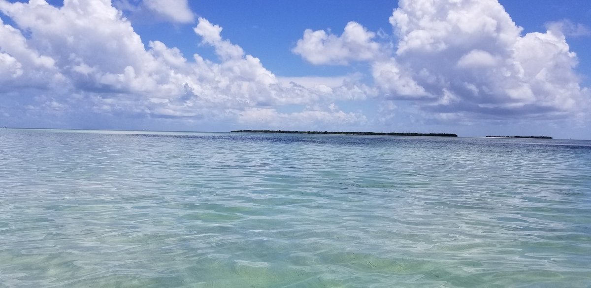 CJintheKeys's tweet photo. In case you wondered if Sunday can beat a Saturday... It did. #contentkeys https://t.co/TPZ5NRynQY