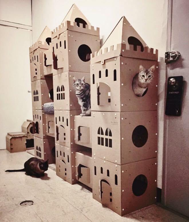 sarahundart's tweet photo. I feel another project coming my way. #suswatari https://t.co/Bq5IAkmOsS