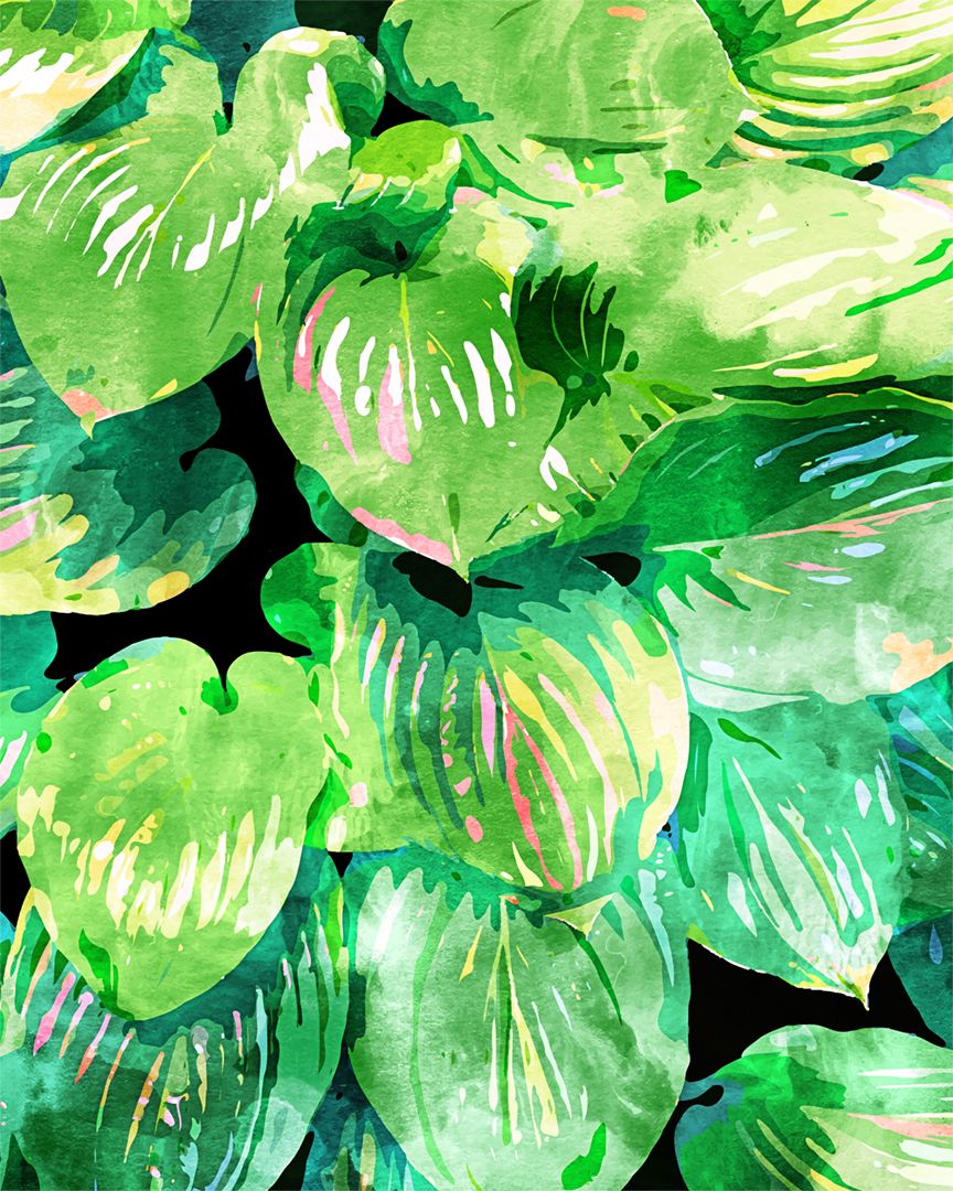 83oranges's tweet photo. "Colors of the Jungle" ๐ด ๐ฅ ๐ผ ๐ ๐
.
#botanical #artprints #illustration #digitalillustration #walldecor #digitalart #contemporaryart #emergingartist #nature #artforsale #artist #illustrator #jungle #emergingillustrator #painting #jungalow #tropical #83oranges #society6 #art https://t.co/h5EUMF4rg8