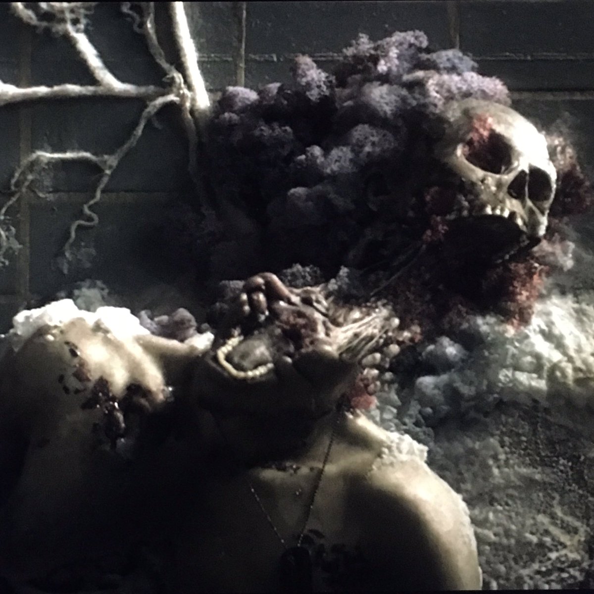 💀🎉 freaky lookin annihilation screencap
#annihilation #art #horrorart #latinoartist #bodyhorror #digitalart #digitalpainting #artwork