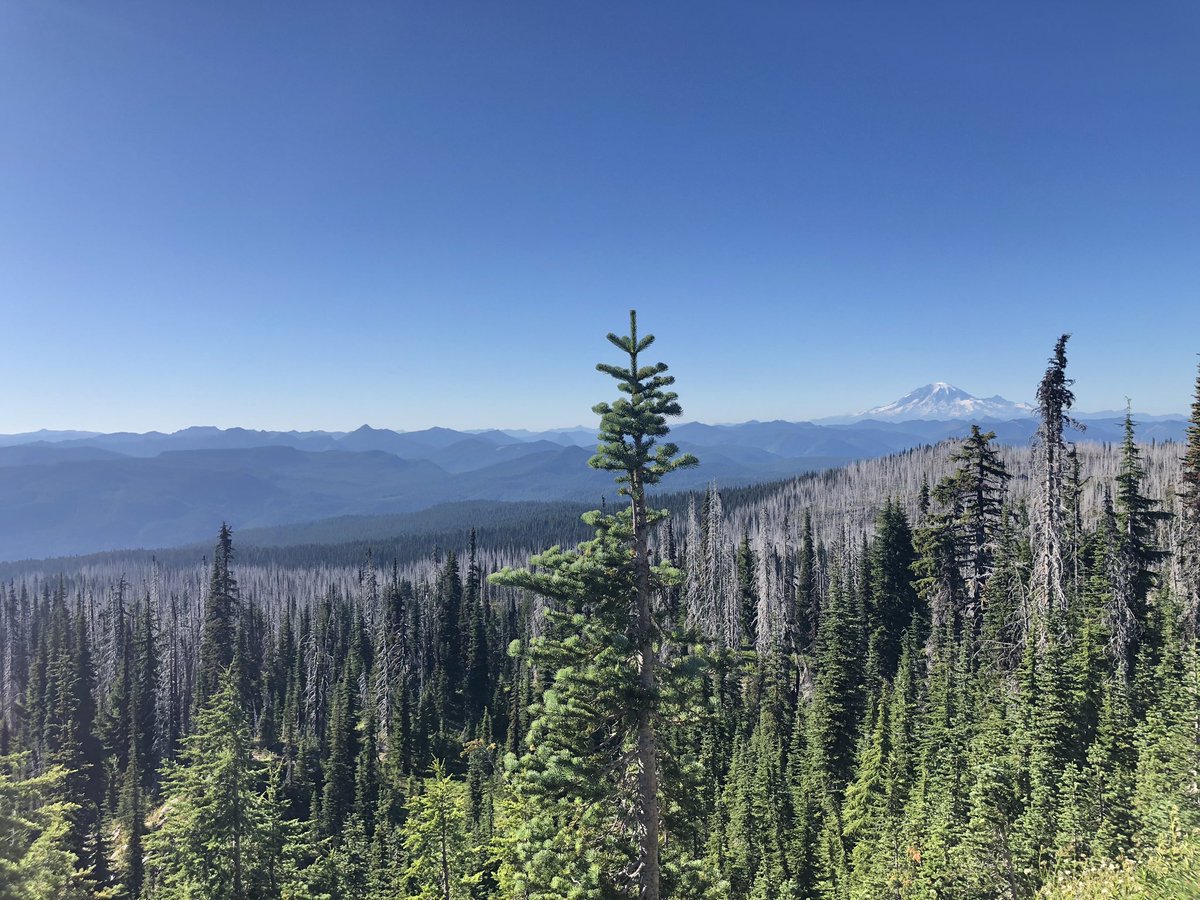 GooseGusty's tweet photo. 70 miles 
5 Days 
The Pacific Crest Trail 
#GoatRocks https://t.co/yY1r8xESCC